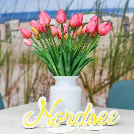 Haus Strandkorb Mit Fruehstuecksoption