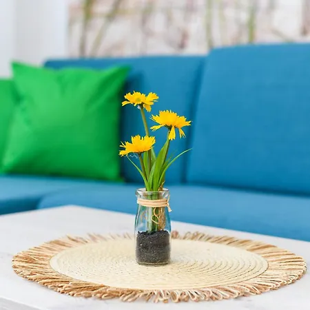 Apartment Haus Strandkorb Mit Fruehstuecksoption