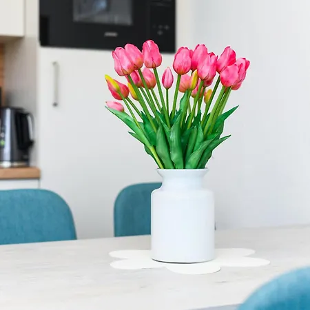 Apartment Haus Strandkorb Mit Fruehstuecksoption Bensersiel