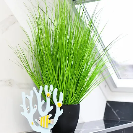 Daire Haus Strandkorb - Poolnaehe - Garten - Tischtennis Bensersiel